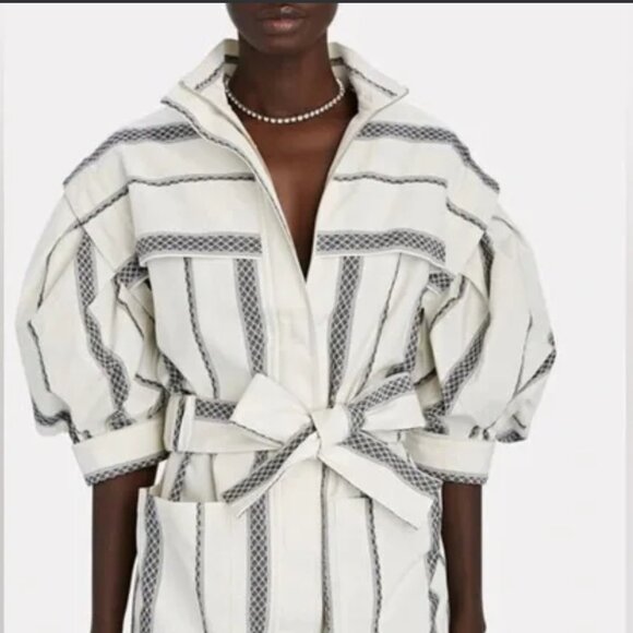 Acler Kingsway Collared Stripe Mini Dress - Picture 3 of 8